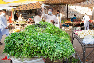 بازار مشترک محلی - سیستان بلوچستان