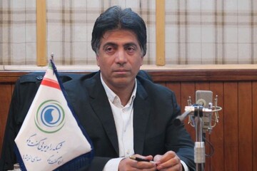 یک کارشناس: باید از مشارکت خارجی در صنعت خودرو صرف نظر کنیم