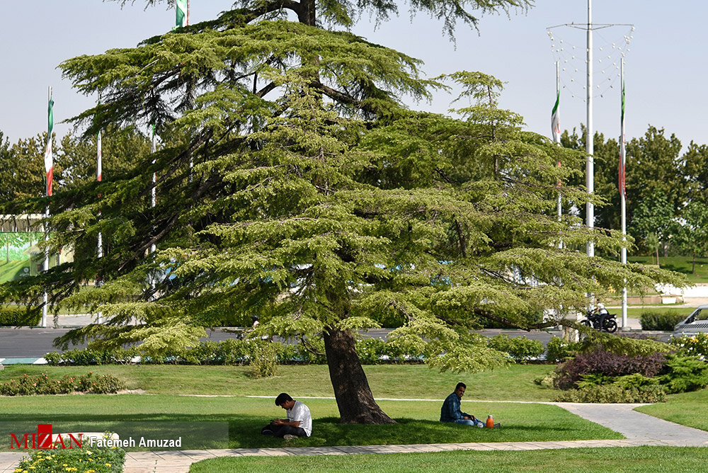 تیر ماه داغ تهران