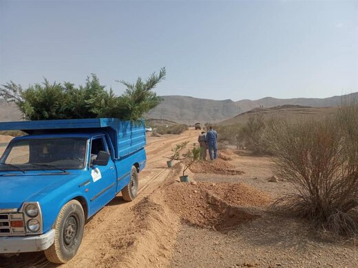 شایعات درباره قطع درختچه‌های بادام در ذوب‌آهن بی‌اساس است