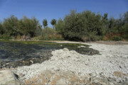 ببینید | جاری شدن آب زاینده رود در شهر اصفهان