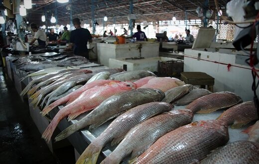 فروش ماهی ۶ میلیون تومانی در بازار