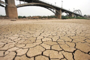 کشت برنج در خوزستان درگیر بحران آب/مهمترین اولویت دولت سیزدهم چیست؟