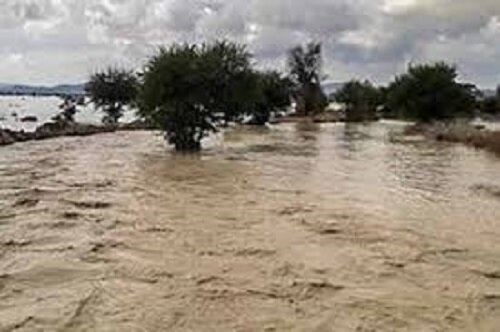 سیلاب به بخش‌های های کشاورزی مازندران‌ خسارت زد