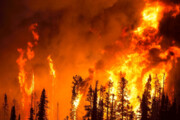 ببینید | کالیفرنیا در دام جهنم؛ آتش‌سوزی بزرگ در 10 هزار هکتار جنگل