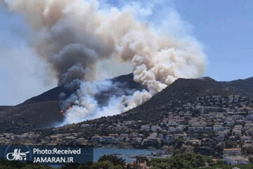 تصاویر | حواس‌پرتی یک راننده و فاجعه آتش‌سوزی در هزاران هکتار جنگل!