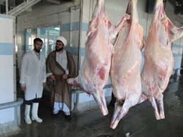 خدمات ذبح شرعی رایگان در مازندران انجام می شود
