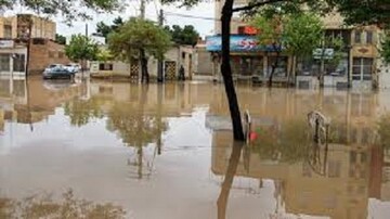 سیلاب ۸۳ میلیارد خسارت در سوادکوه به بار آورد