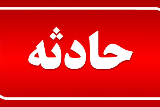 تصادف کامیون با ۱۳ نفر شتر/ عکس