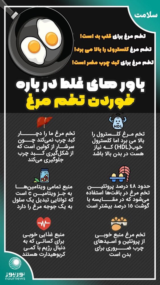 اینفوگرافیک | باورهای غلط درباره خوردن تخم مرغ