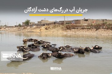 جریان آب در رگ‌های دشت آزادگان