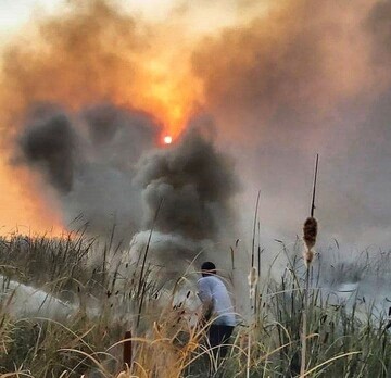 آتش‌سوزی در پارک ملی دریاچه ارومیه / محیط‌زیست: مهار شد