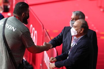 شاهین موسوی