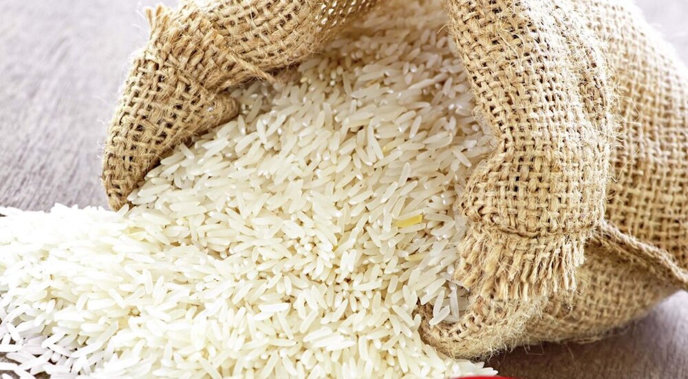 هر کیلوگرم برنج درجه یک شمال چند؟