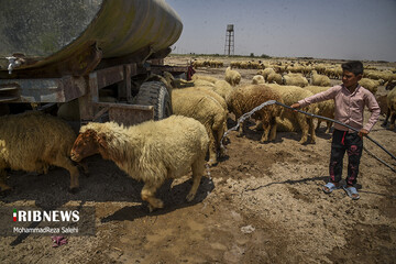 آبرسانی تانکرهای ارتش به روستاهای دشت آزادگان اهواز
