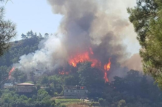 ببینید | فاجعه در ترکیه؛ سردرگمی آتش‌نشان‌ها و مسئولین از وسعت حریق