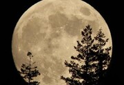 ببینید | تصاویری خیره کننده از اَبَر ماه بر فراز پوزئیدون یونان