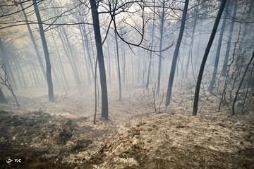 ترکیه در بحران آتش‌ سوزی