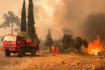 ترکیه در بحران آتش‌ سوزی