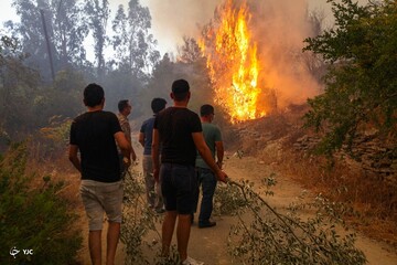 ترکیه در بحران آتش‌ سوزی
