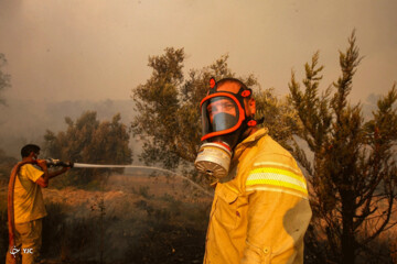 تصاویر | آتش‌سوزی وحشتناک در آنتالیا و آدنا