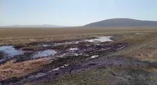 تیر خلاص بر پیکر گاوخونی: تالاب زاینده رود غرق در فاضلاب و لجن نفتی