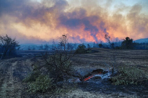 آتش در جنگل‌های استان فارس همچنان زبانه
 می‌کشد