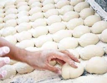سالانه 5 هزار میلیارد تومان یارانه نان در استان مازندران پرداخت می شود
