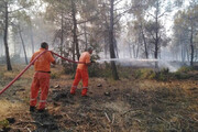 ببینید | گسترش آتش‌سوزی‌های جنگلی در ترکیه