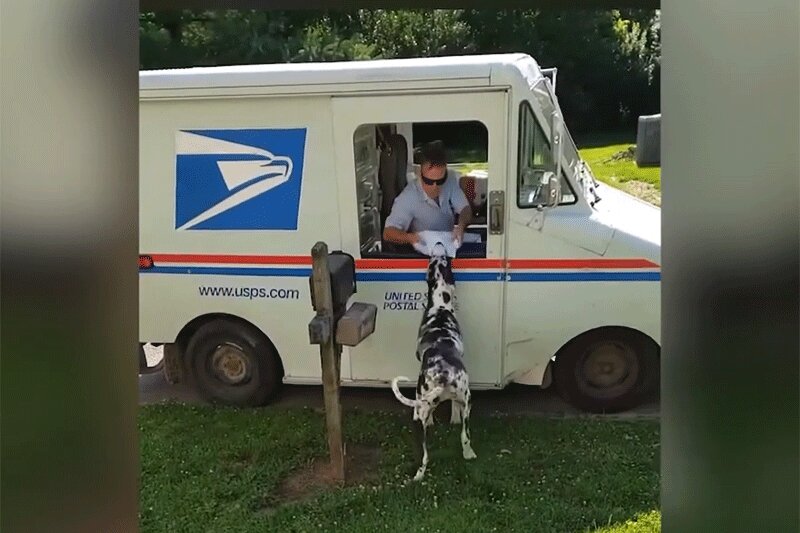 ببینید | ماجرای عجیب یک سگ با پیشنهاد کار از اداره پست آمریکا!