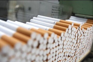 محکومیت ۵۰۰میلیونی قاچاقچی سیگار در قزوین