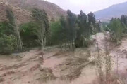 ببینید | قاب‌های دلهره‌آور از سیل مهیب در  شهرستان کلیبر