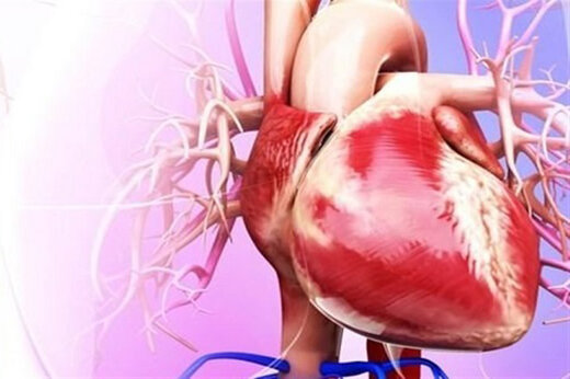تفاوت زنان  و مردان در بیماری قلبی چیست؟