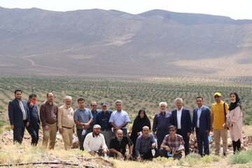 به دنبال ایجاد دامداری صنعتی در بزرگترین باغ گردو جهان هستیم