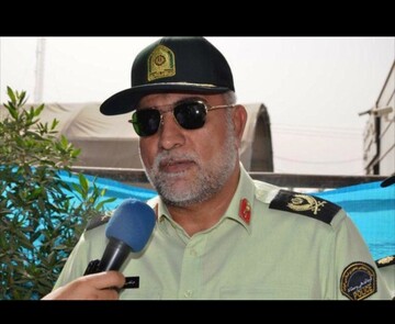 ۵۰۰ تن نهاده دامی قاچاق در مازندران کشف شد