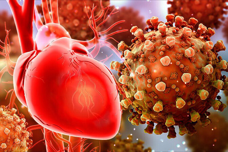 قلب افراد دچار اضافه وزن بیشتر در معرض خطر لخته خون قرار دارد