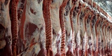 طرح پیش سرد آلایش خوراکی دام در منطقه آزاد اروند اجرایی شد