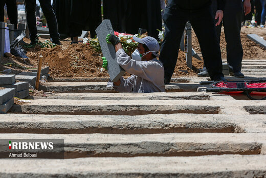 نوبت دزدی به گل‌های سر قبرها رسید/ واکنش بهشت زهرا به سرقت‌های خرد از گورستان