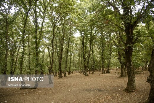 وضعیت مازندران در دومین روز از تعطیلات شش روزه