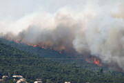 ببینید | وقوع آتش سوزی گسترده در جنگل های جنوب فرانسه
