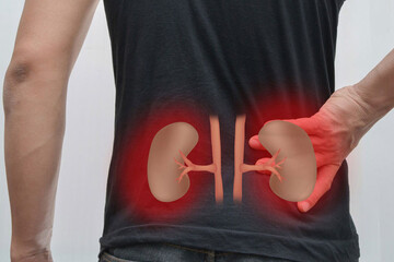 اینفوگرافیک | چرا کلیه‌ها درد می‌گیرند؟