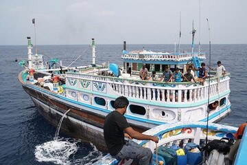 فیلم مستند ساخته منظقه آزاد پابهار در جشنواره درخت زردآلو