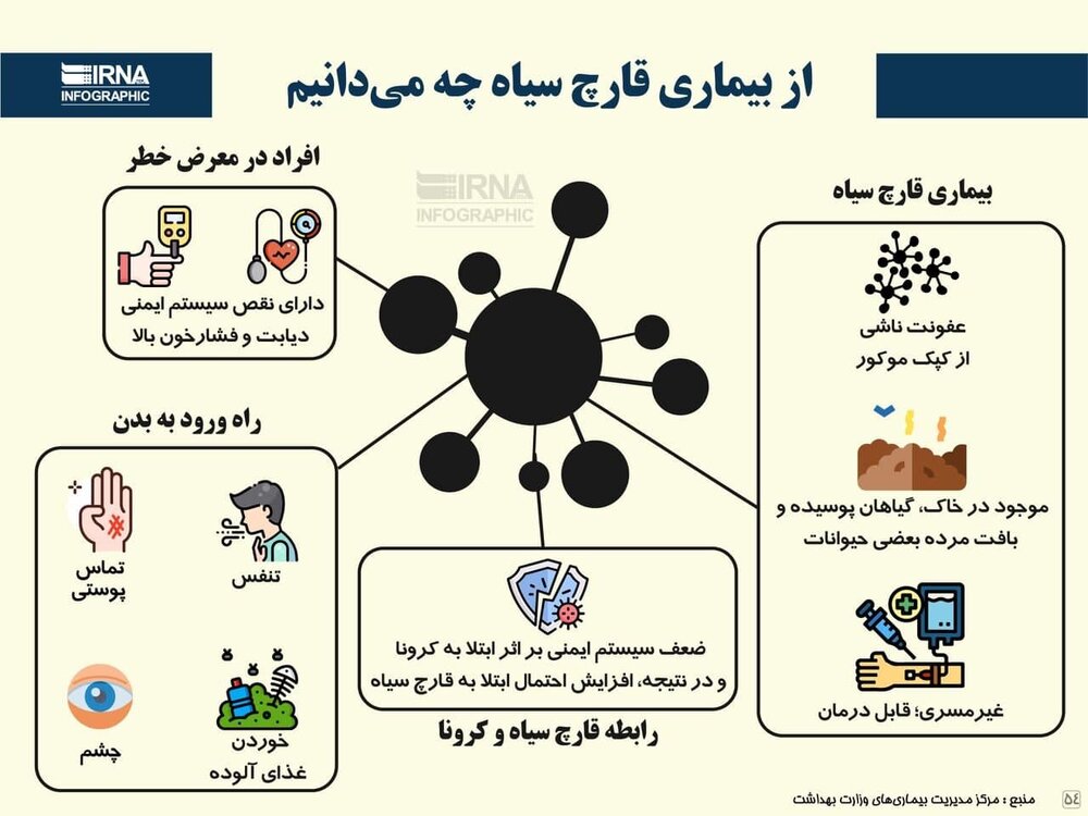 ببینید | از بیماری قارچ سیاه چه می‌دانیم؟