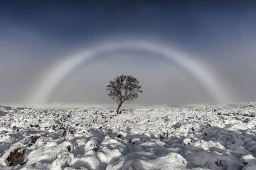 تصاویر | عکس‌های نامزد دریافت جایزه جهانی عکاسی آب‌وهوا