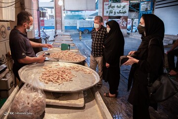 تصاویر | بازار میگو بوشهر
