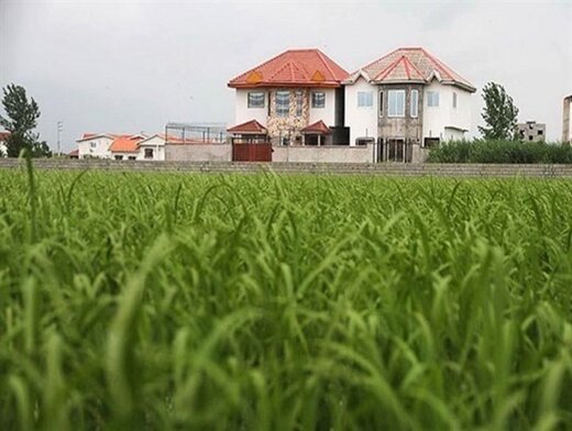 ۳۰ مورد تغییر کاربری غیرمجاز در لاریجان قلع و قمع شد