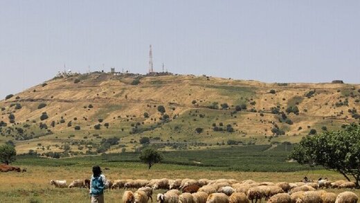حمله تروریستی به حما سوریه با کشته و زخمی
