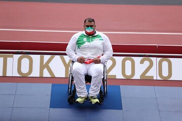 حامد امیری