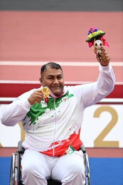 حامد امیری