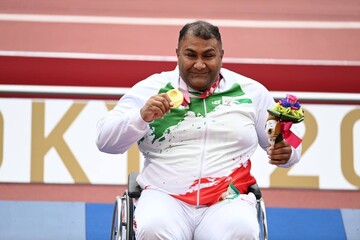 حامد امیری